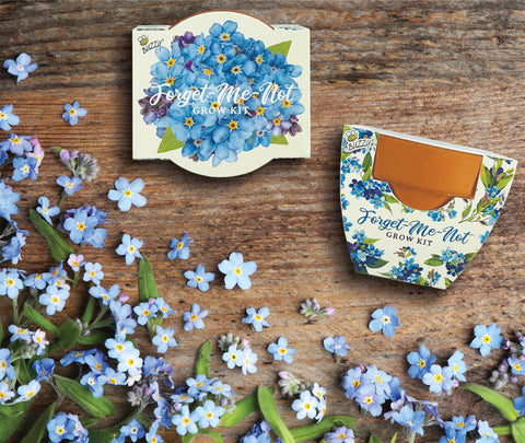 BUZZY Daydream step-by-step planting guide makes home gardening simple and satisfying.
