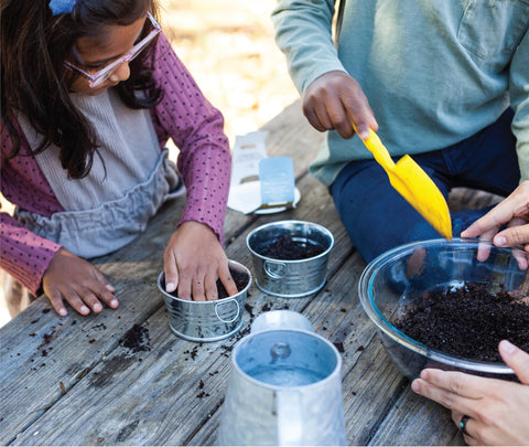 BUZZY Seeds desk-friendly kit enables windowsill harvests of berries.