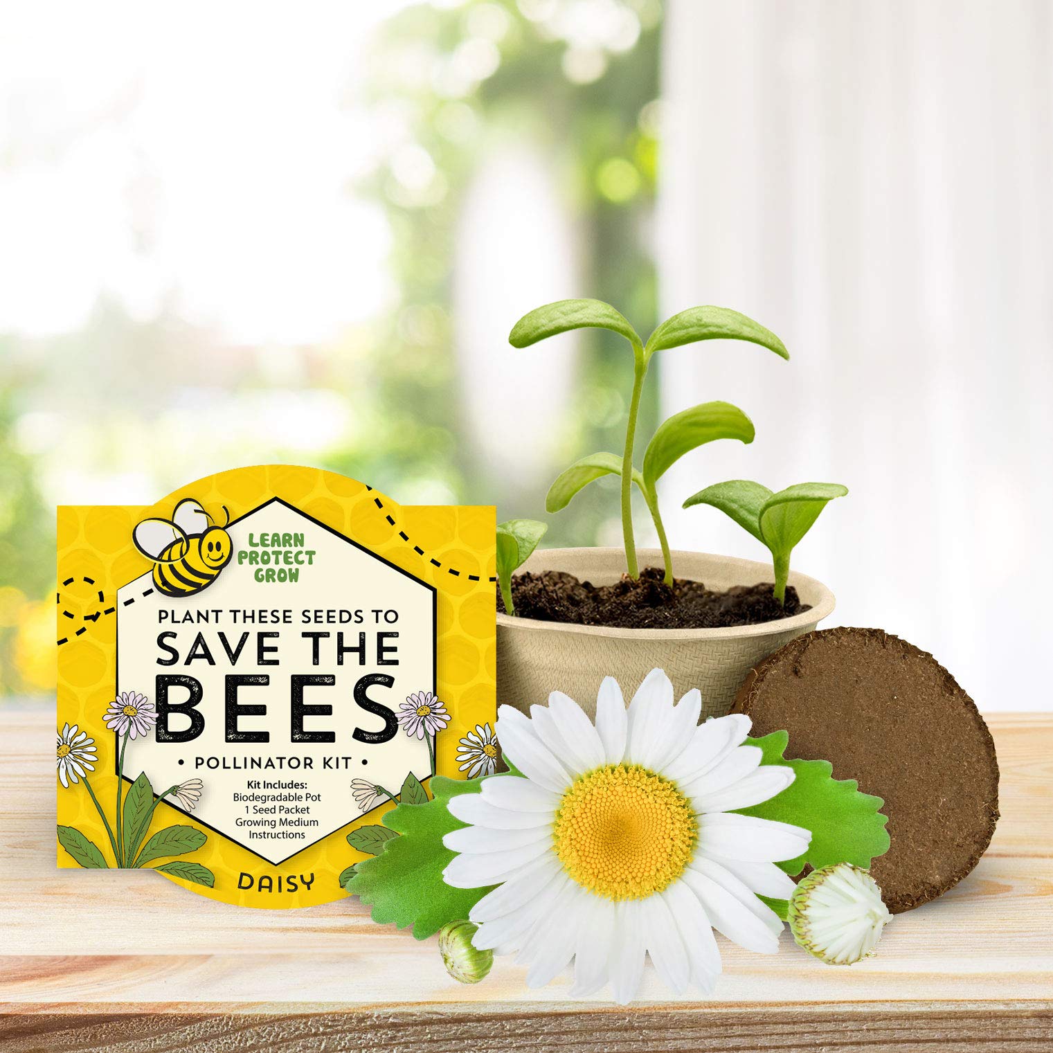 BUZZY Seeds eco-friendly gift packaging for sustainability.