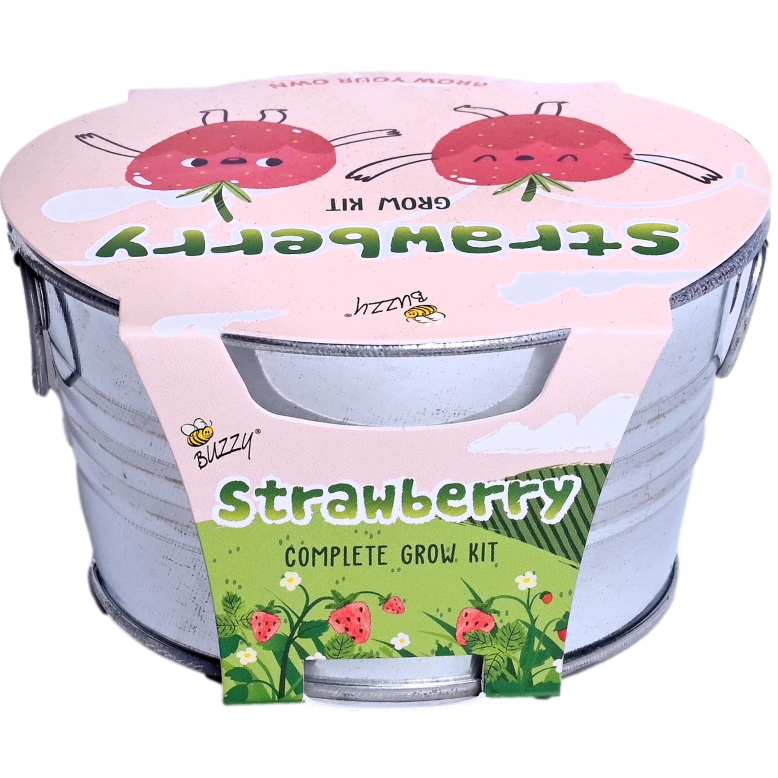 BUZZY plants bloom then yield juicy strawberries for snacks