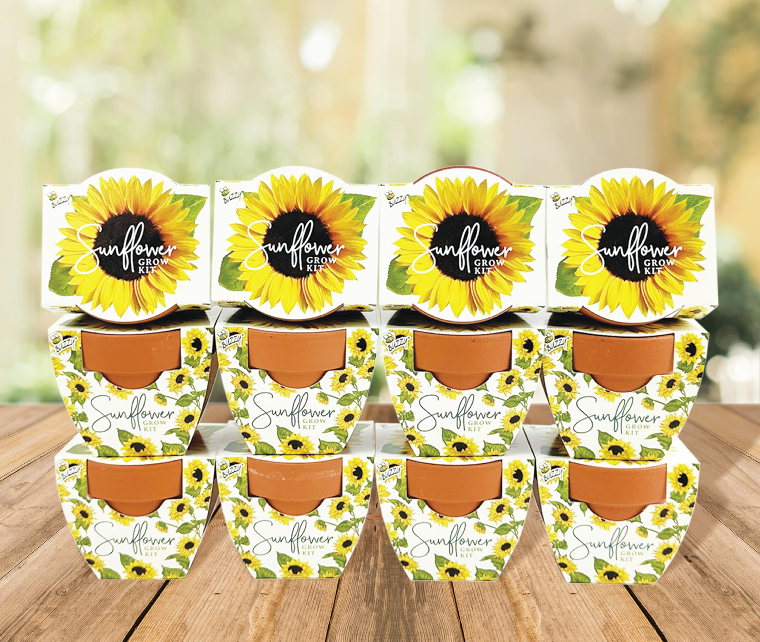 BUZZY Seeds kit—great gift for DIY lovers and party favors.