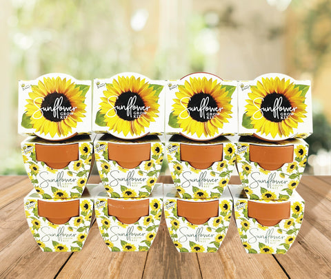 BUZZY Seeds kit—great gift for DIY lovers and party favors.