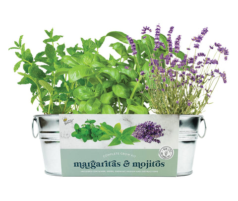 BUZZY Seeds Margarita & Mojito kit on a windowsill planter for fresh herbs