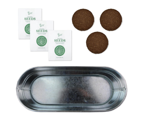 BUZZY Seeds mint seed packet for easy indoor herb cultivation