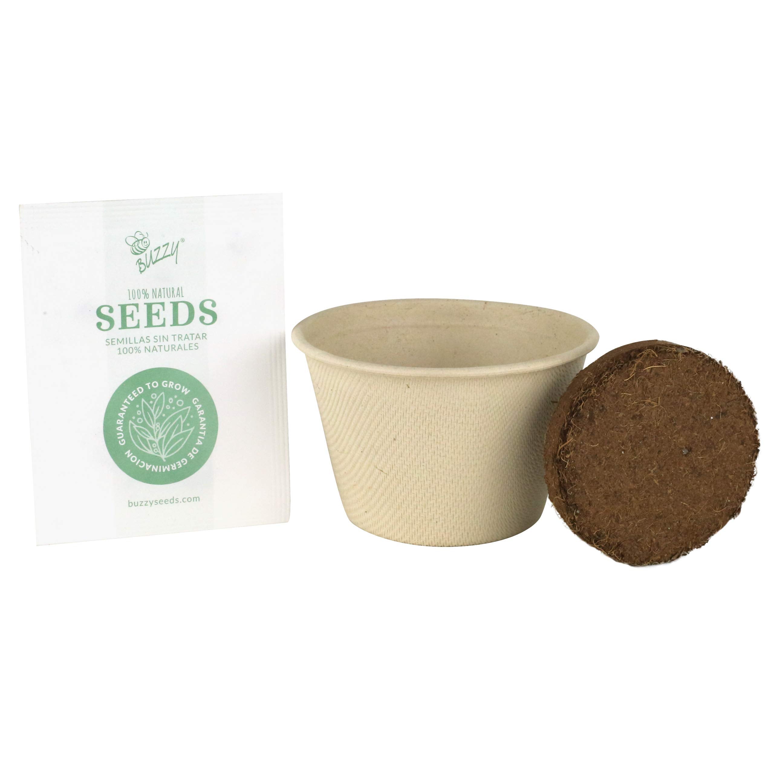 BUZZY Seeds simple planting instructions make gardening beginner-friendly.