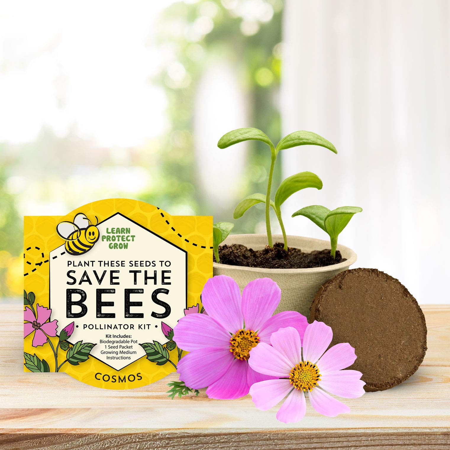 BUZZY Seeds vibrant blooms attract bees and butterflies.
