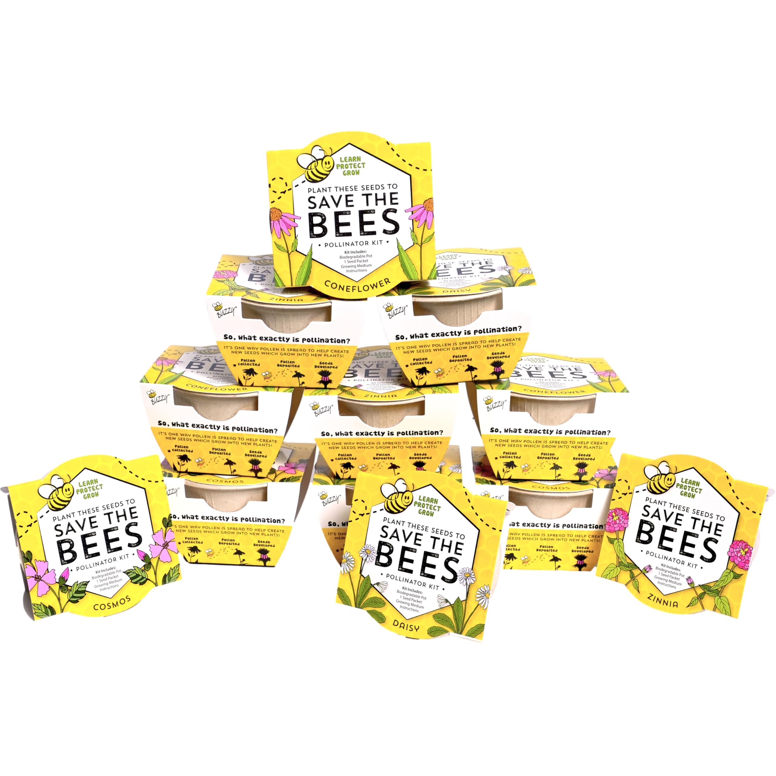 BUZZY Seeds Save The Bees Grow Kit with 12 mini pots for indoor planting.