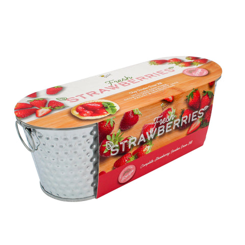 BUZZY Seeds Strawberry Kit seeds ready to sprout for beginner-friendly home gardening