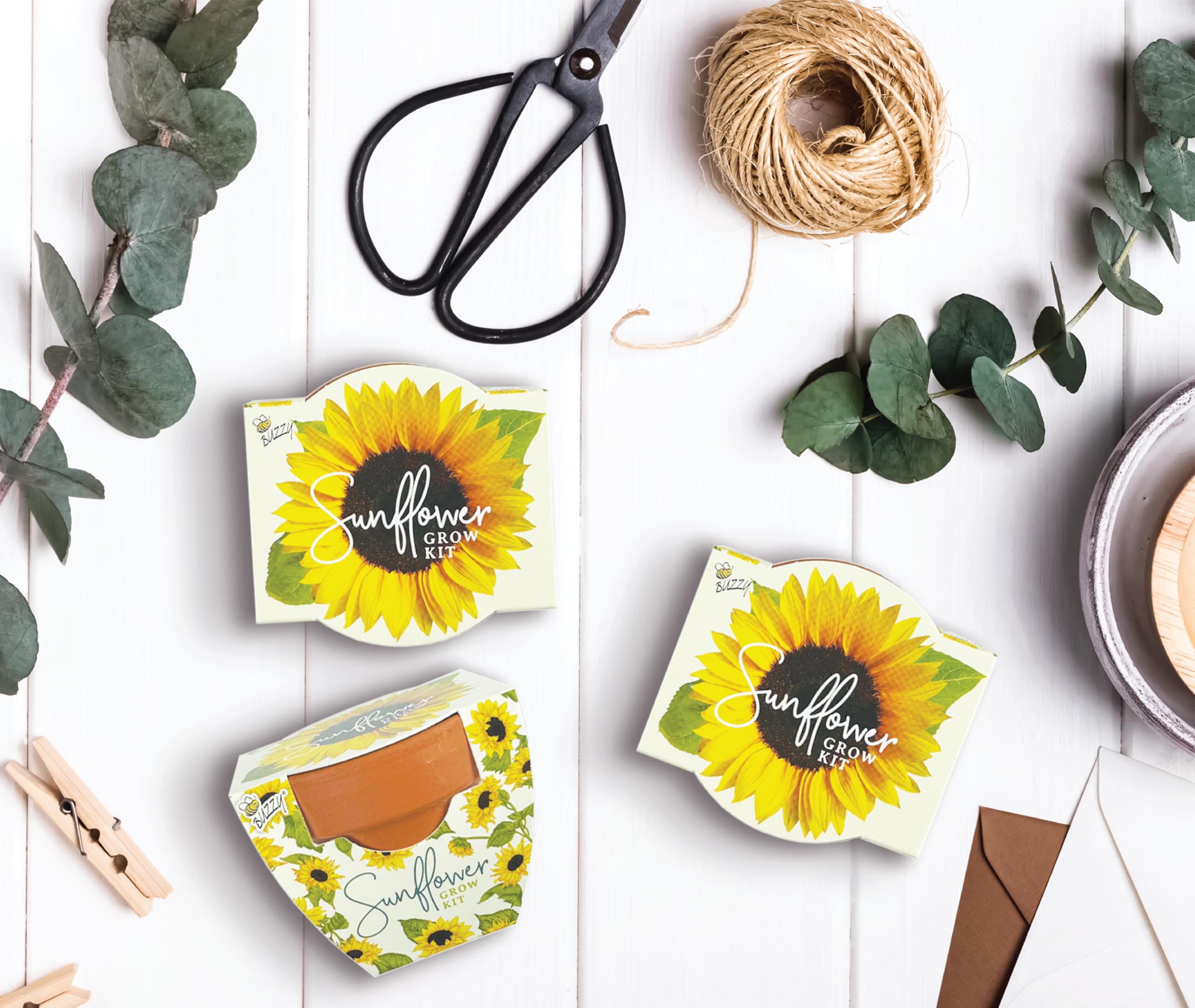 BUZZY Seeds sunflower blooms brighten spaces and attract pollinators.