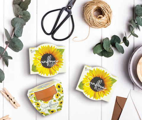 BUZZY Seeds sunflower blooms brighten spaces and attract pollinators.