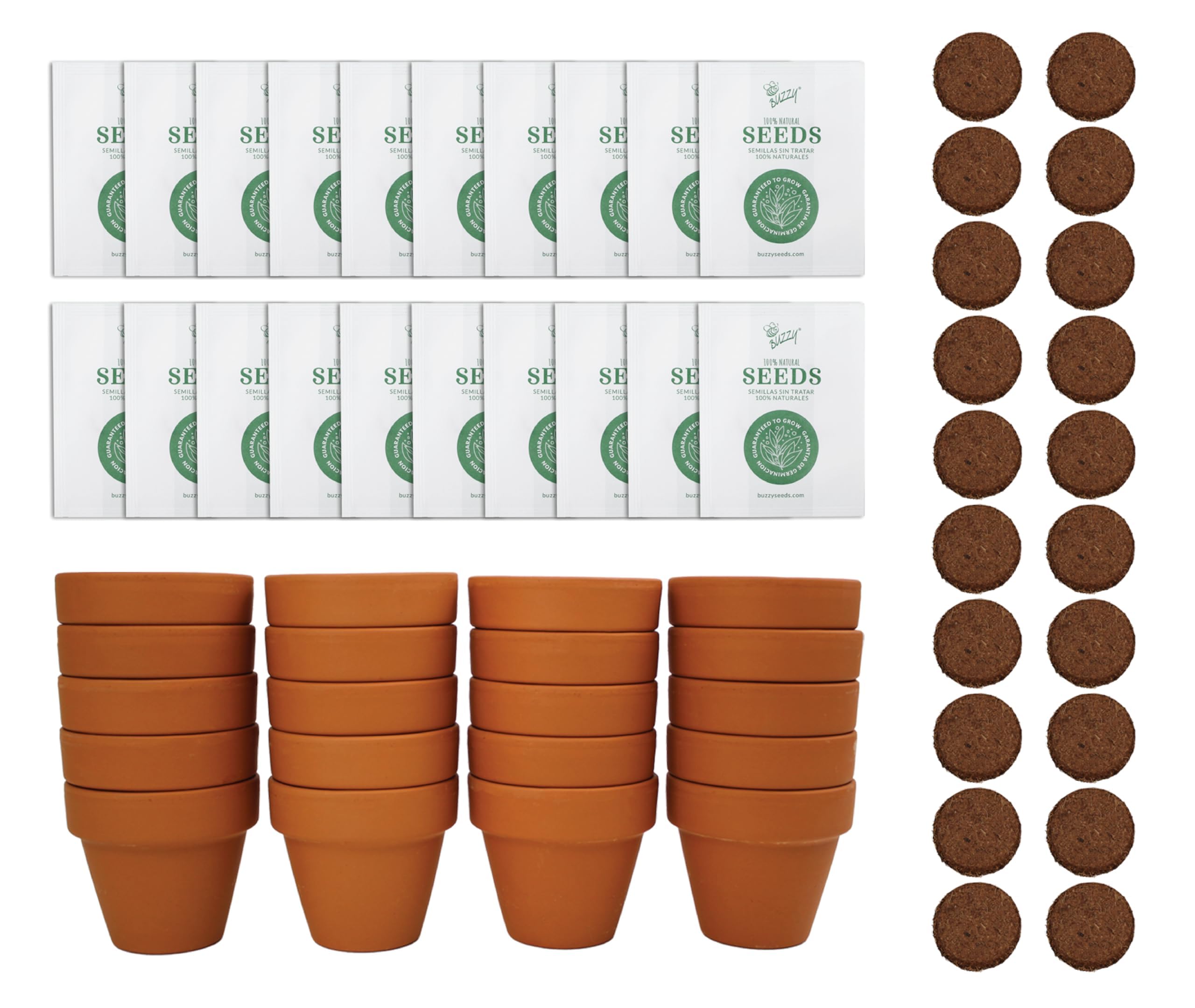 BUZZY Seeds sunflower grow kit with 20 mini terracotta pots for easy planting