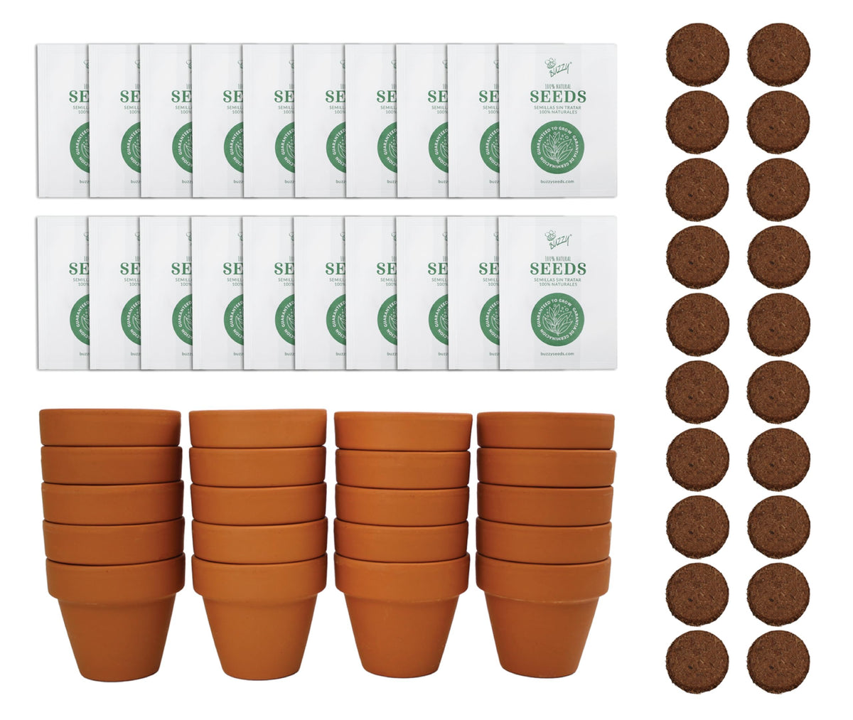 BUZZY Seeds sunflower grow kit with 20 mini terracotta pots for easy planting