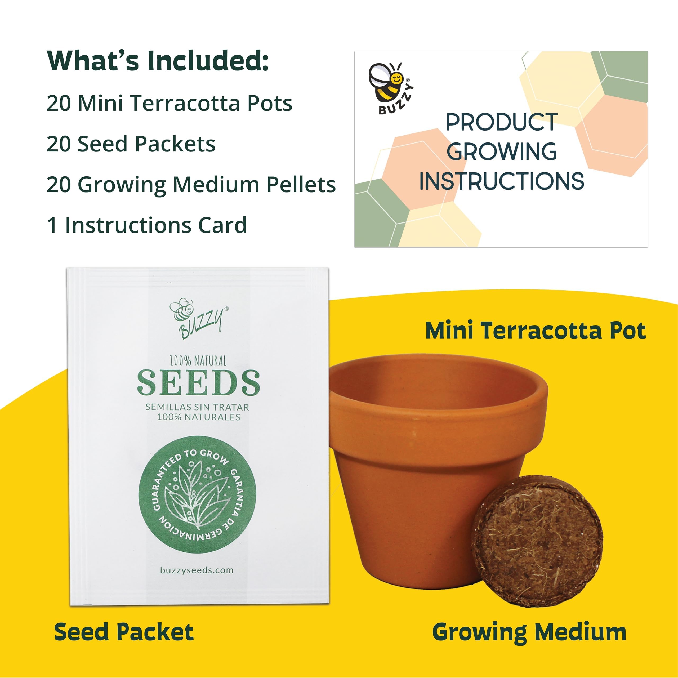 BUZZY planting activity image emphasizes beginner-friendly cultivation