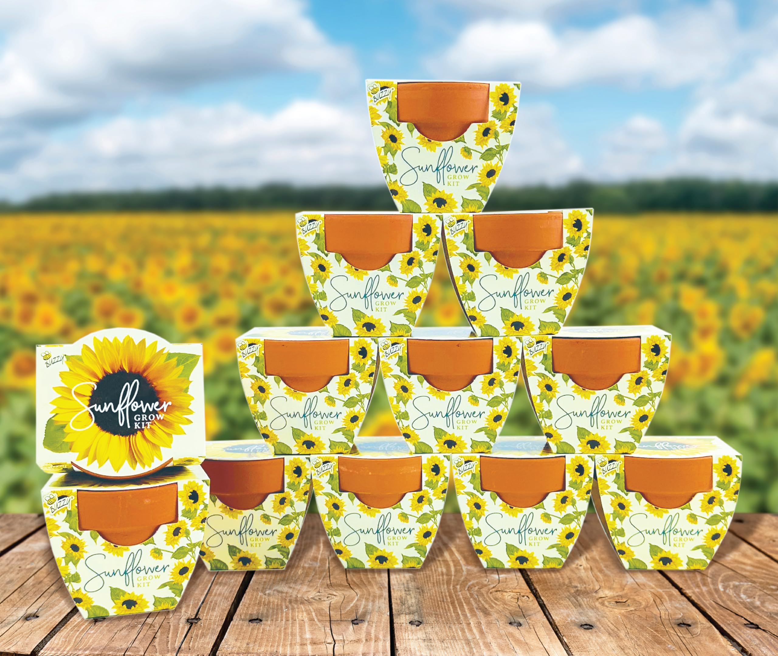 BUZZY Seeds sunflower seeds packets—simple start to vibrant workplace or home blooms.