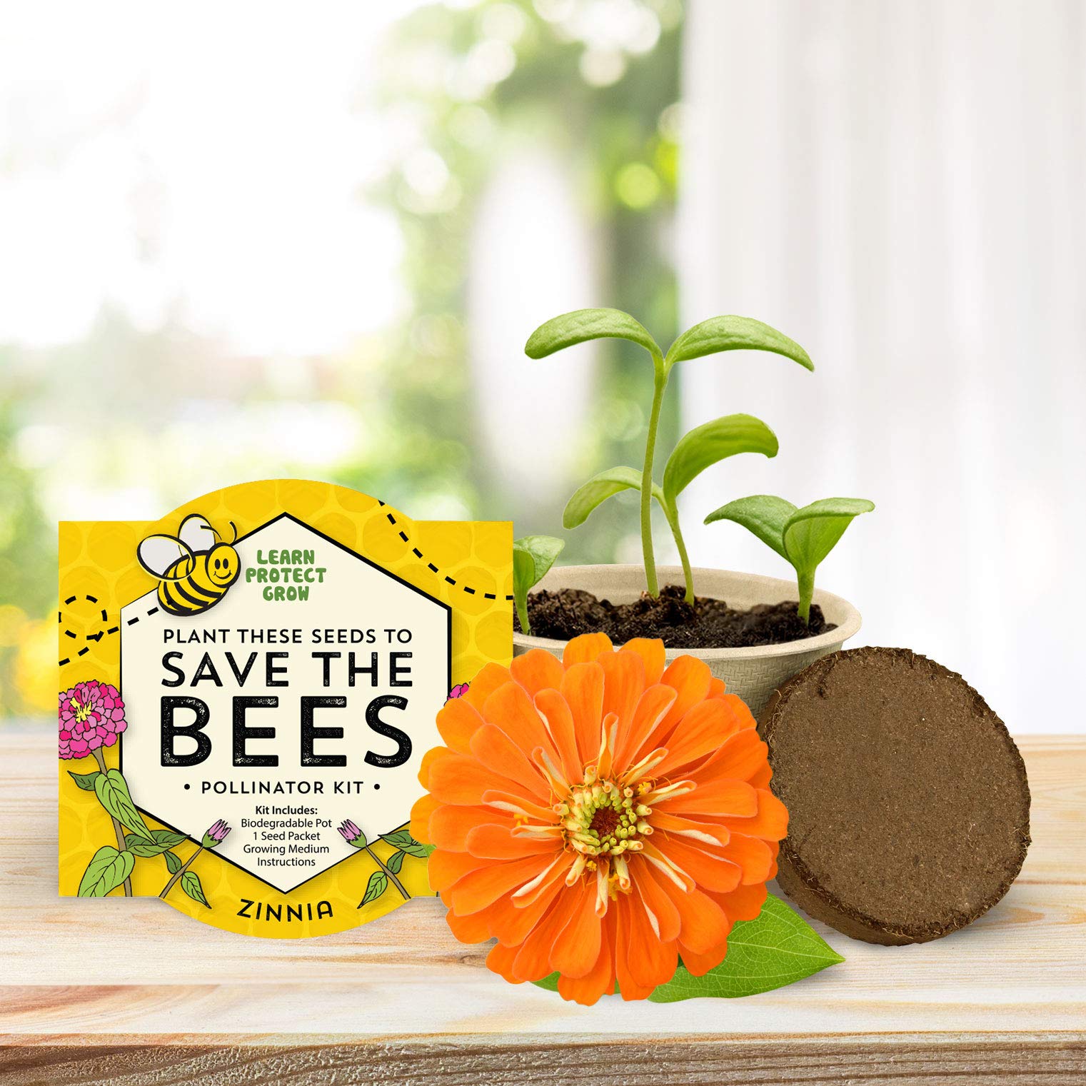 BUZZY Seeds tabletop garden idea for small spaces.