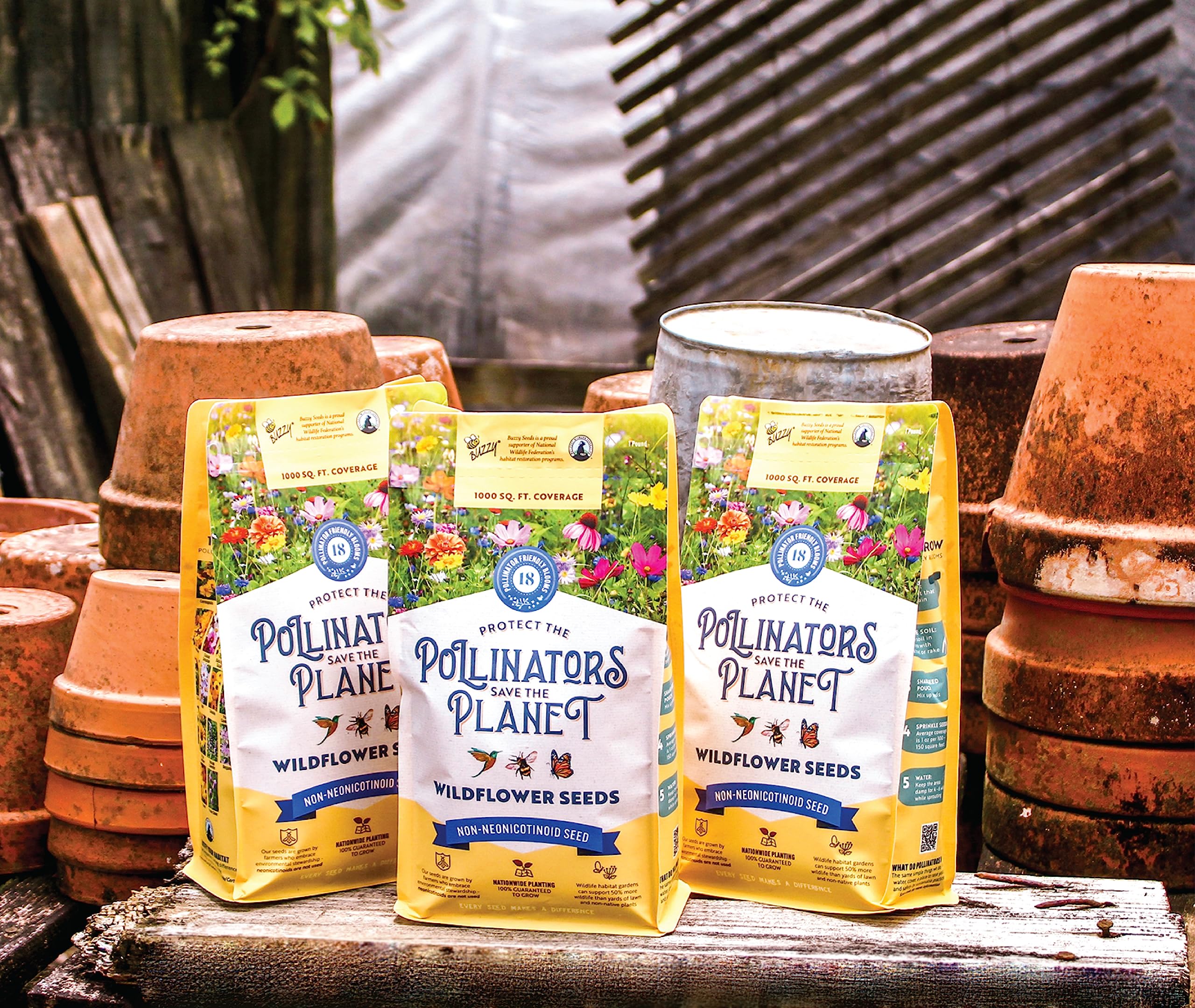 BUZZY pollinator seed mix supports biodiversity in a pollinator garden.