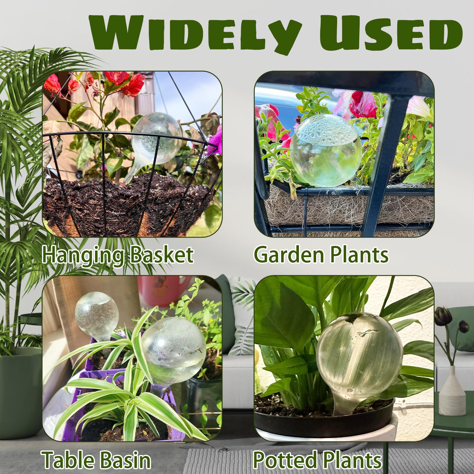 Bvrbaory indoor plants with globes for convenient home watering.