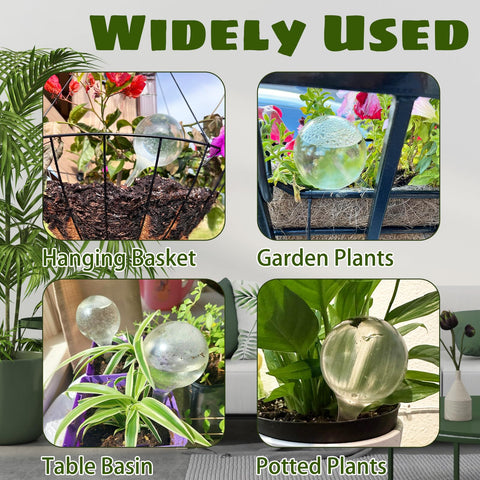 Bvrbaory indoor plants with globes for convenient home watering.