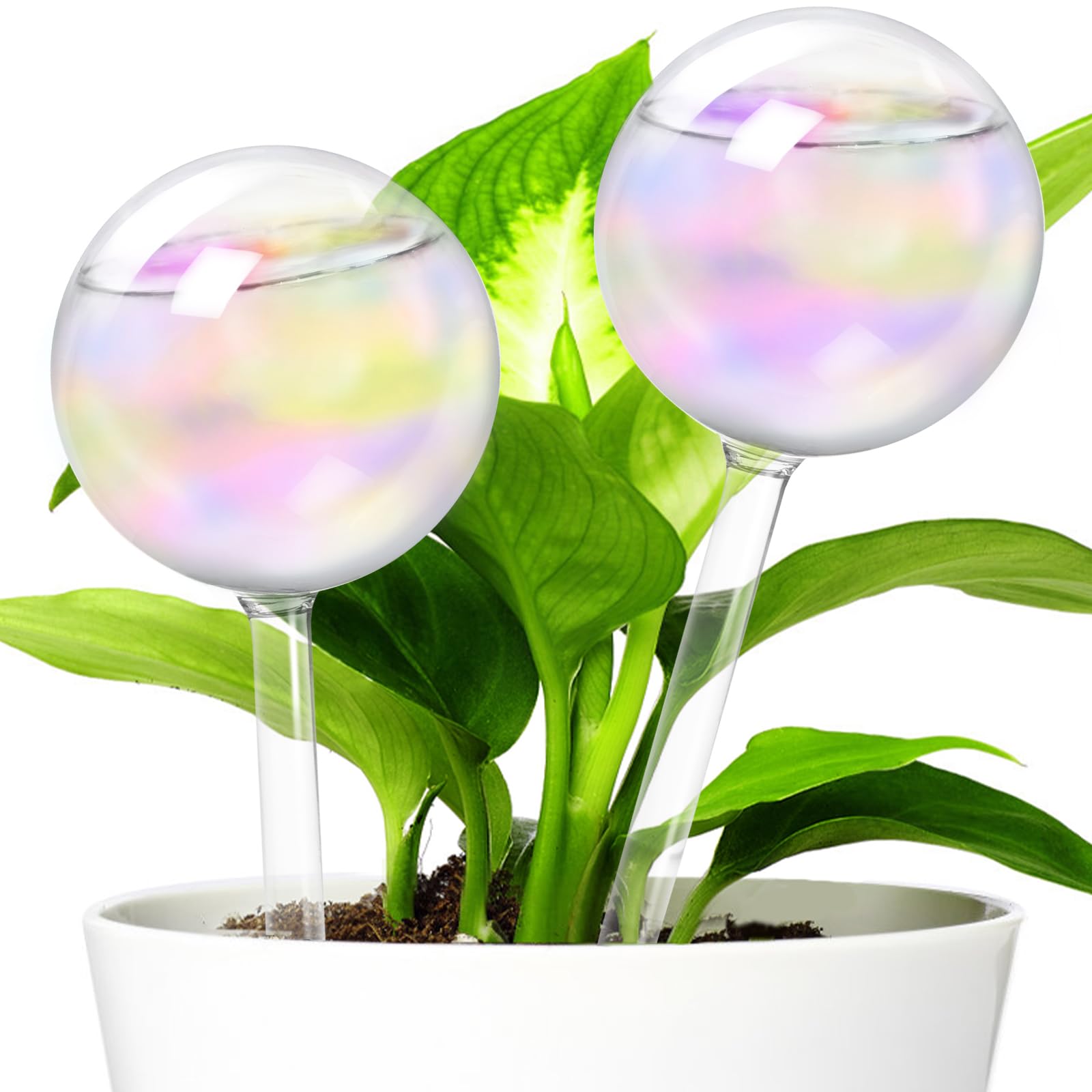 Bvrbaory iridescent self-watering globes close-up showing rainbow hues for healthy indoor plants.