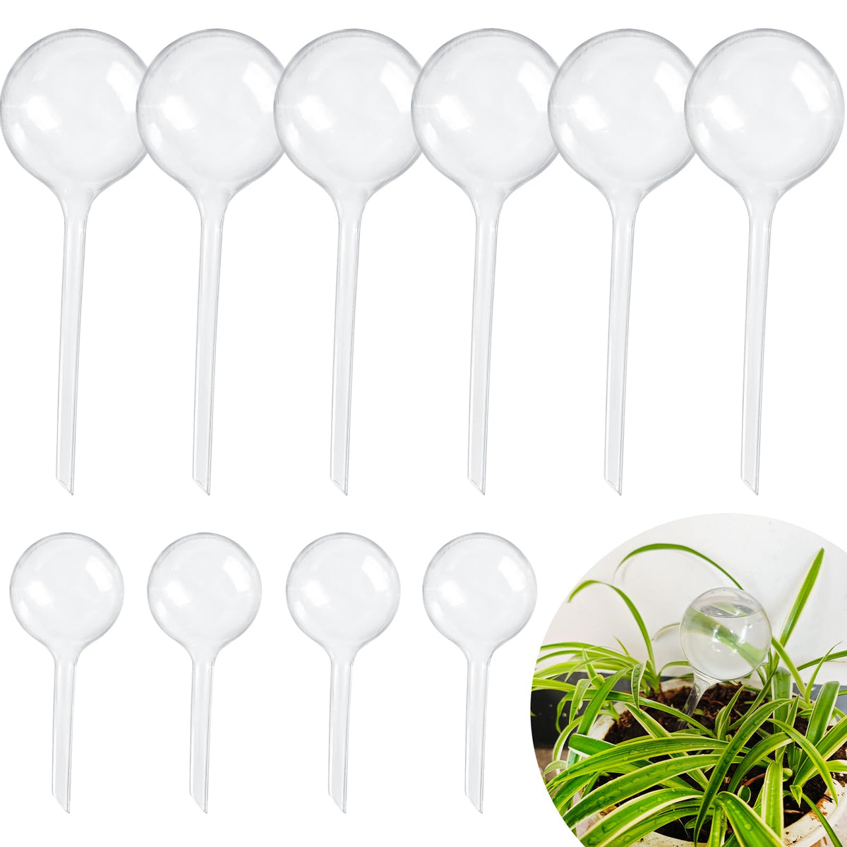 Bvrbaory plant watering globes pack large view showing size and capacity.