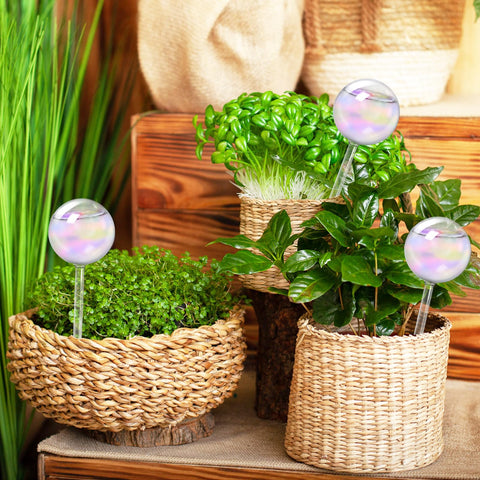 Bvrbaory rainbow glow globes suitable for indoor and outdoor plant care.