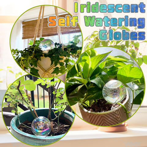 Bvrbaory self-watering globes packaged as a thoughtful gift for plant lovers.