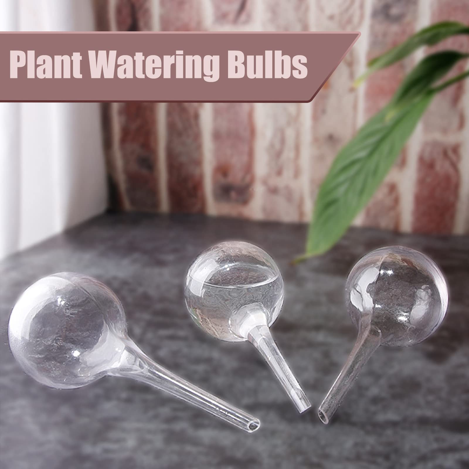 Bvrbaory clear globes allow you to observe water level easily