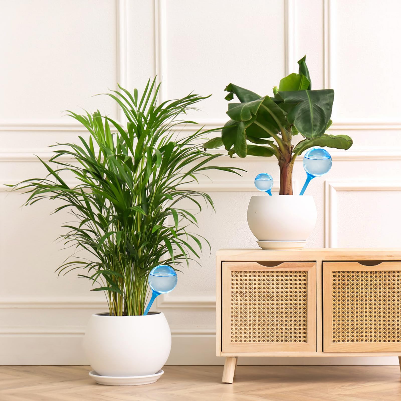 Bvrbaory blue globes prevent underwatering while away.