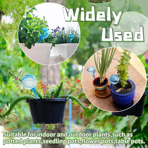 Bvrbaory bulbs usable indoors and outdoors for versatile care.