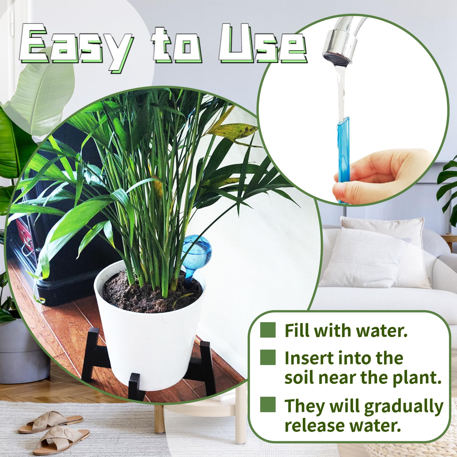 Bvrbaory small globe suitable for compact planters.