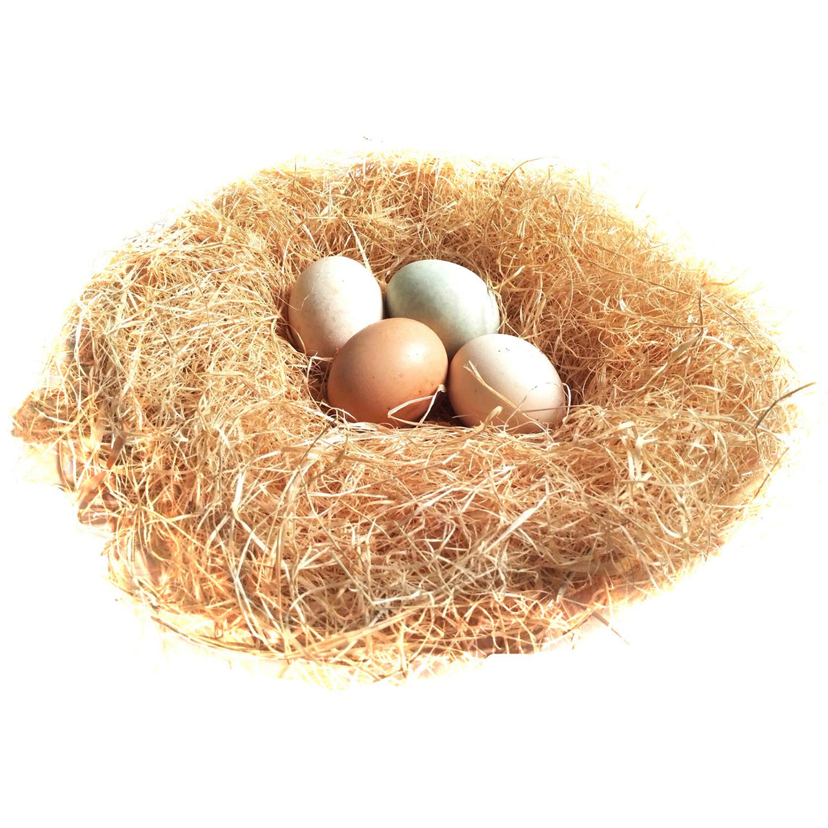 BWOGUE grass nesting pad top view in nest with clean eggs and easy collection