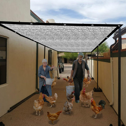 BXAEYIPOR chicken coop shade helps protect flock from sun.