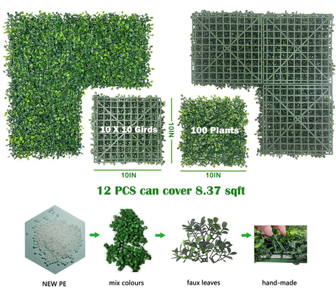 Bybeton boxwood leaves detail emphasizes lush texture ideal for interior greenery.
