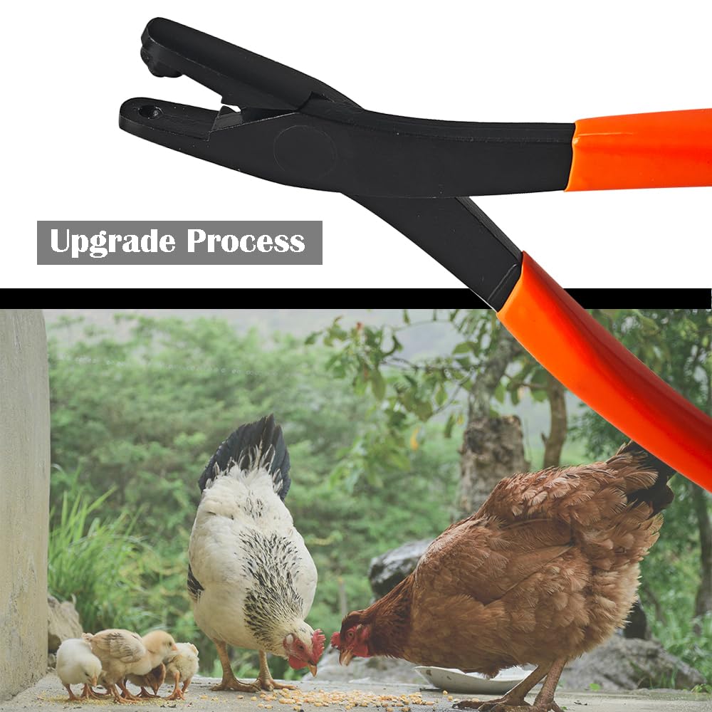 ByeAnxiety easy-application leg bands pliers for quick, secure fittings.