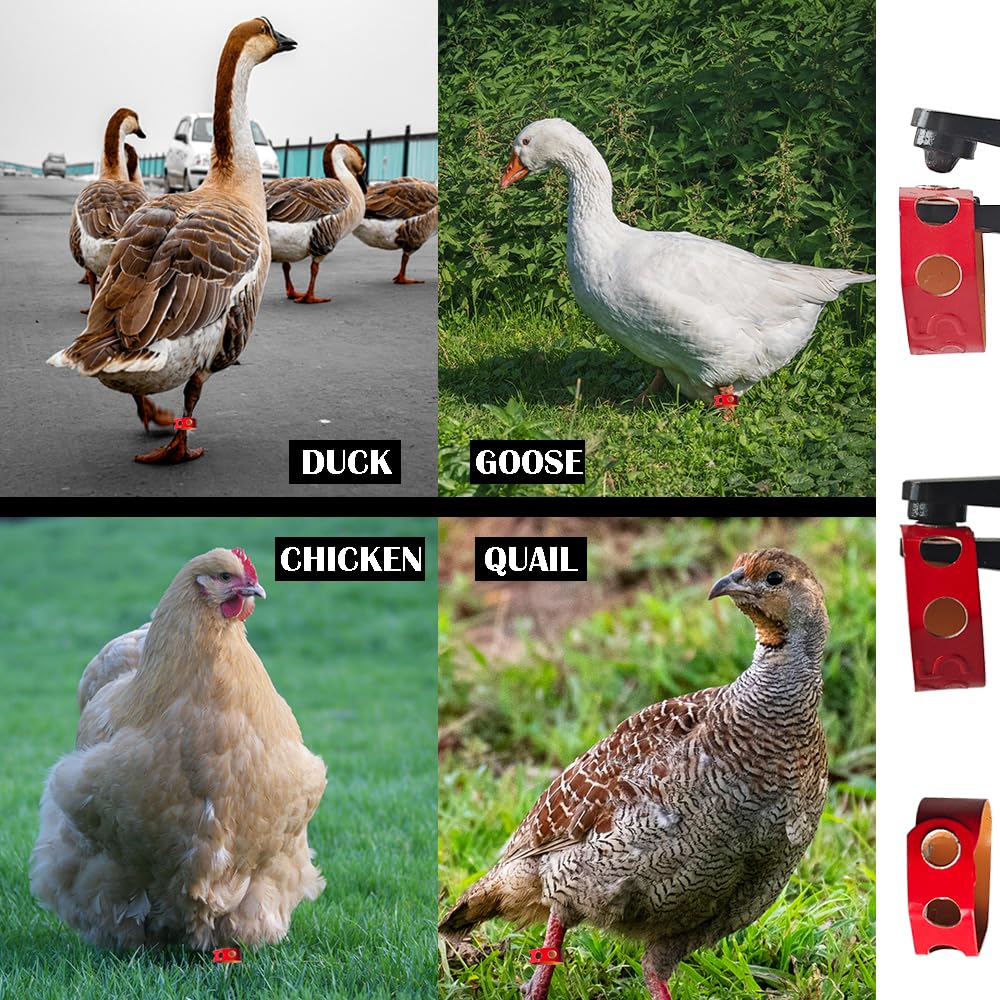 ByeAnxiety ergonomic orange-handle poultry banding tool for comfortable, precise use.