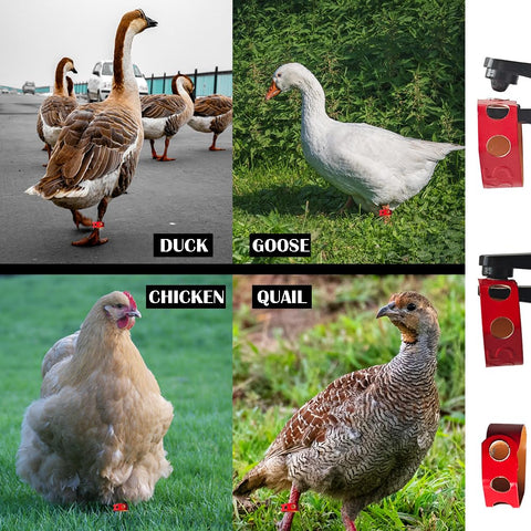 ByeAnxiety ergonomic orange-handle poultry banding tool for comfortable, precise use.