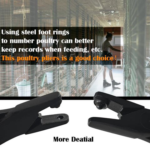 ByeAnxiety versatile poultry banding pliers for chickens and ducks and more.
