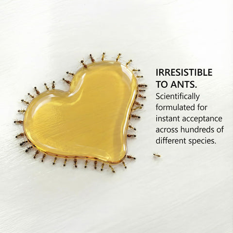 byFormica Sunburst liquid clarity close-up highlights pure sweetness and electrolyte balance.