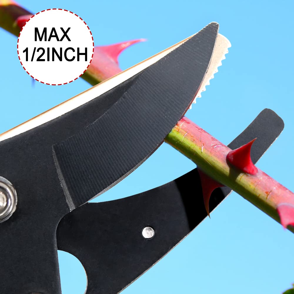 Byhagern multifunction pruners support fruit picking and versatile pruning tasks.