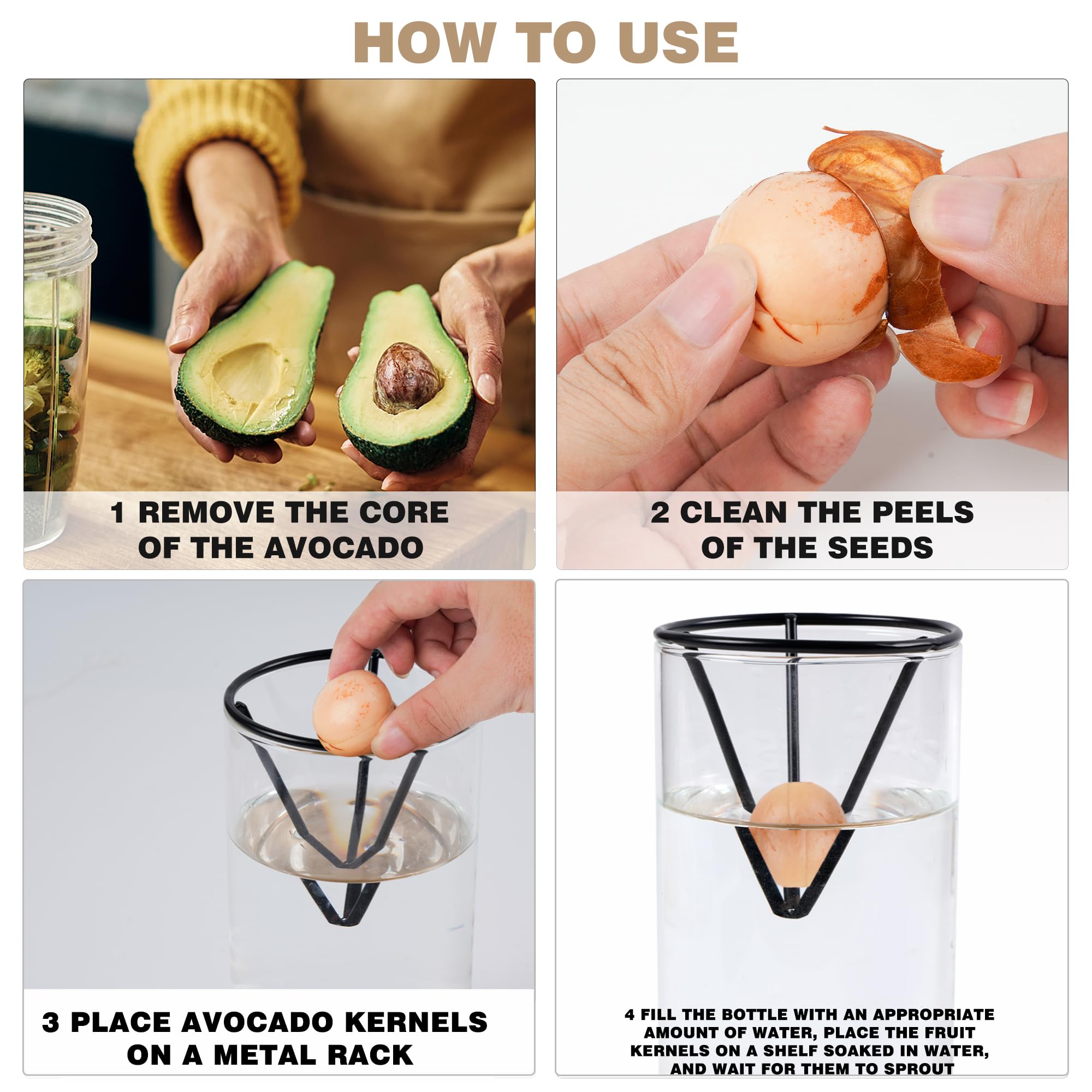 Bylion avocado kit seed-sprouting close-up highlights patience and learning.
