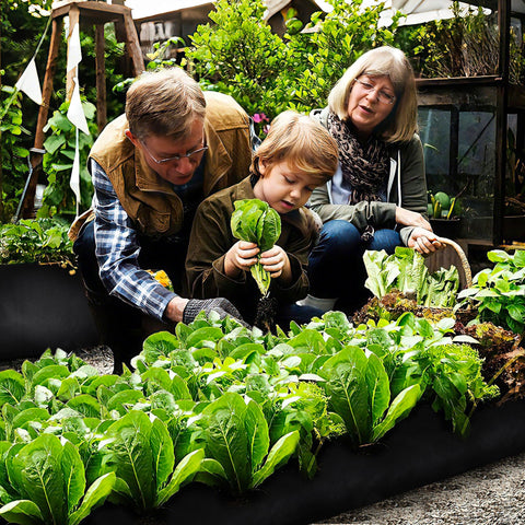 Bylion planter is suitable for indoor and outdoor use with vegetables, flowers, and seedlings.