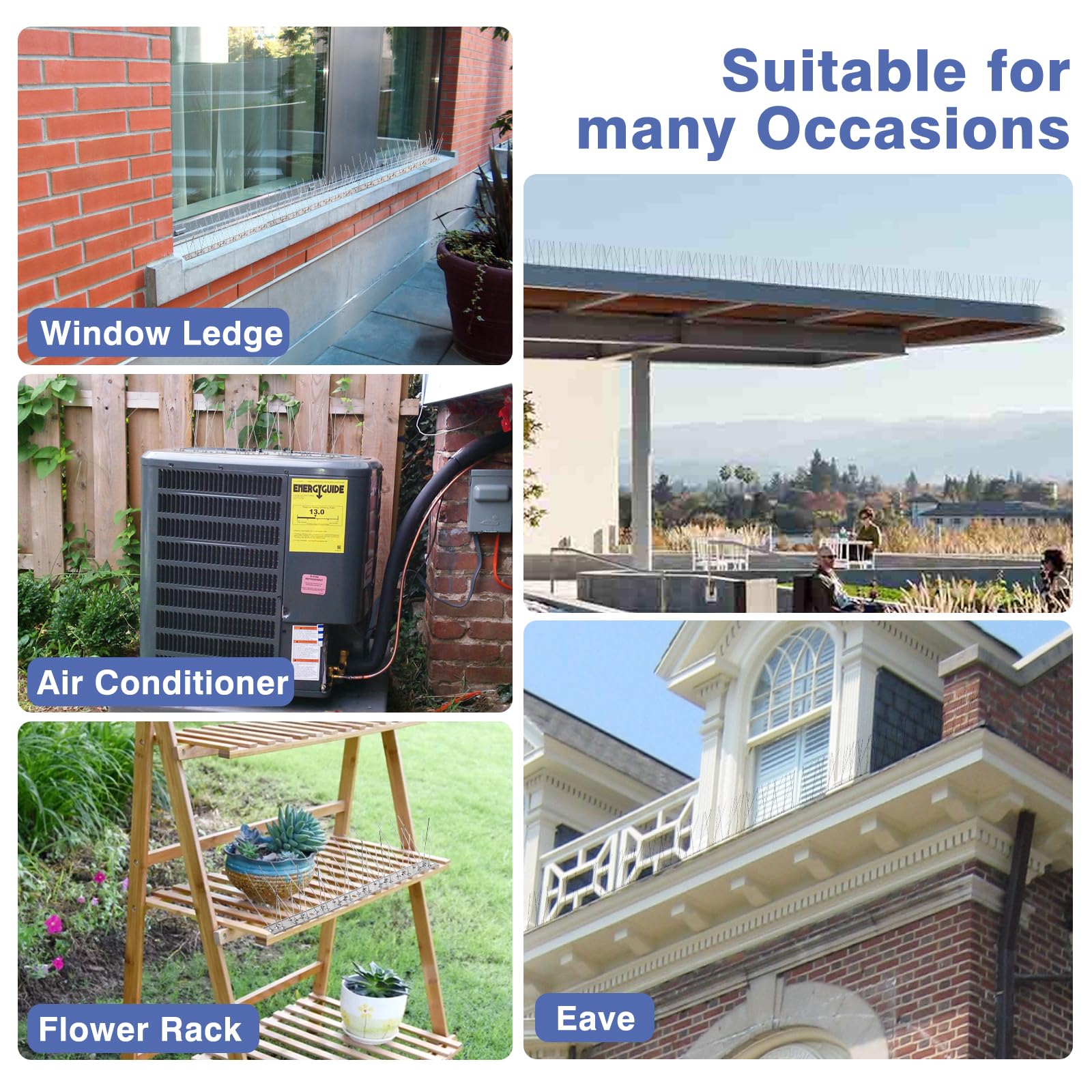 Bynccea bird spikes along a sill offering durable deterrence for small birds