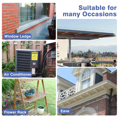 Bynccea bird spikes along a sill offering durable deterrence for small birds