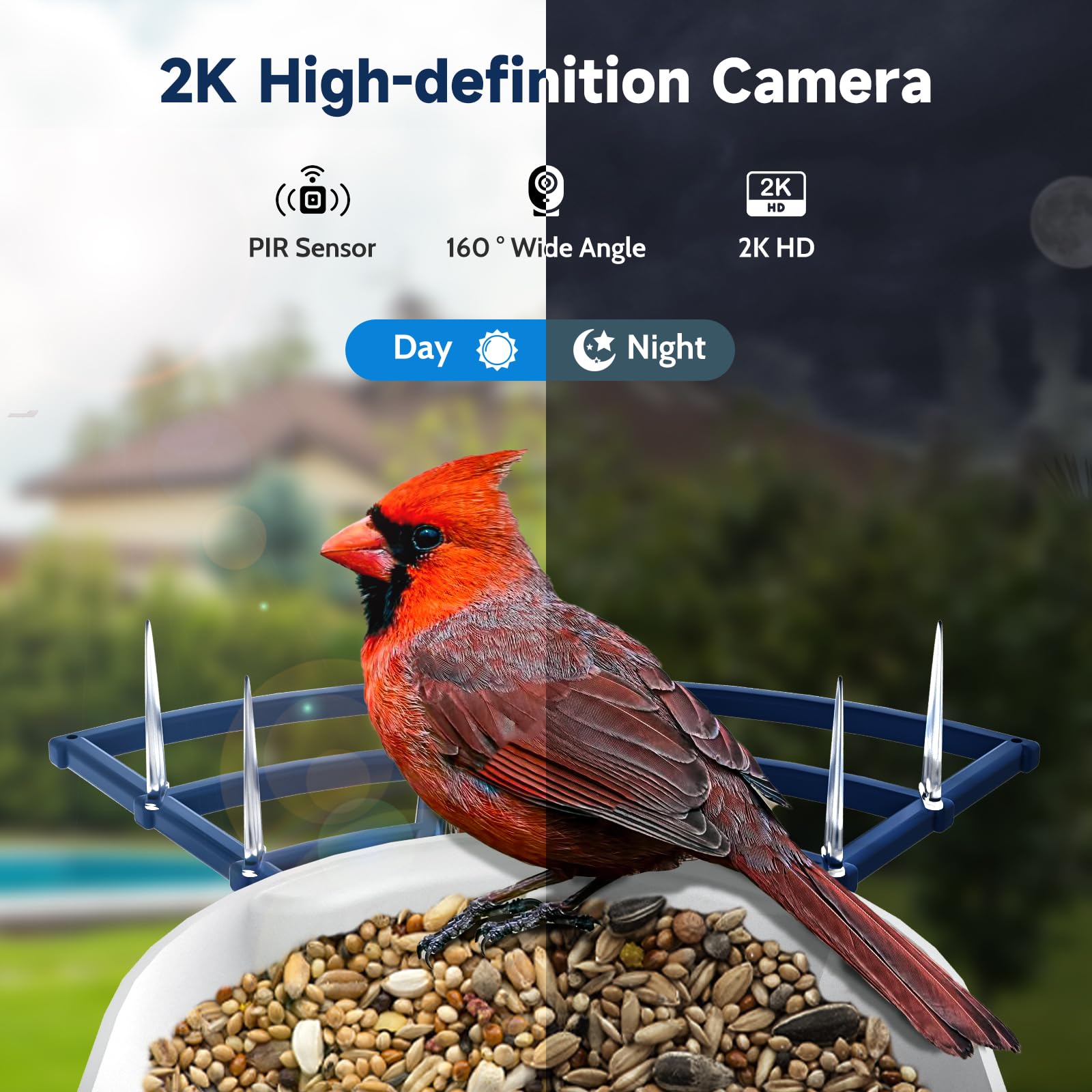 BYRANKE Smart Bird Feeder large capacity container reduces refills.