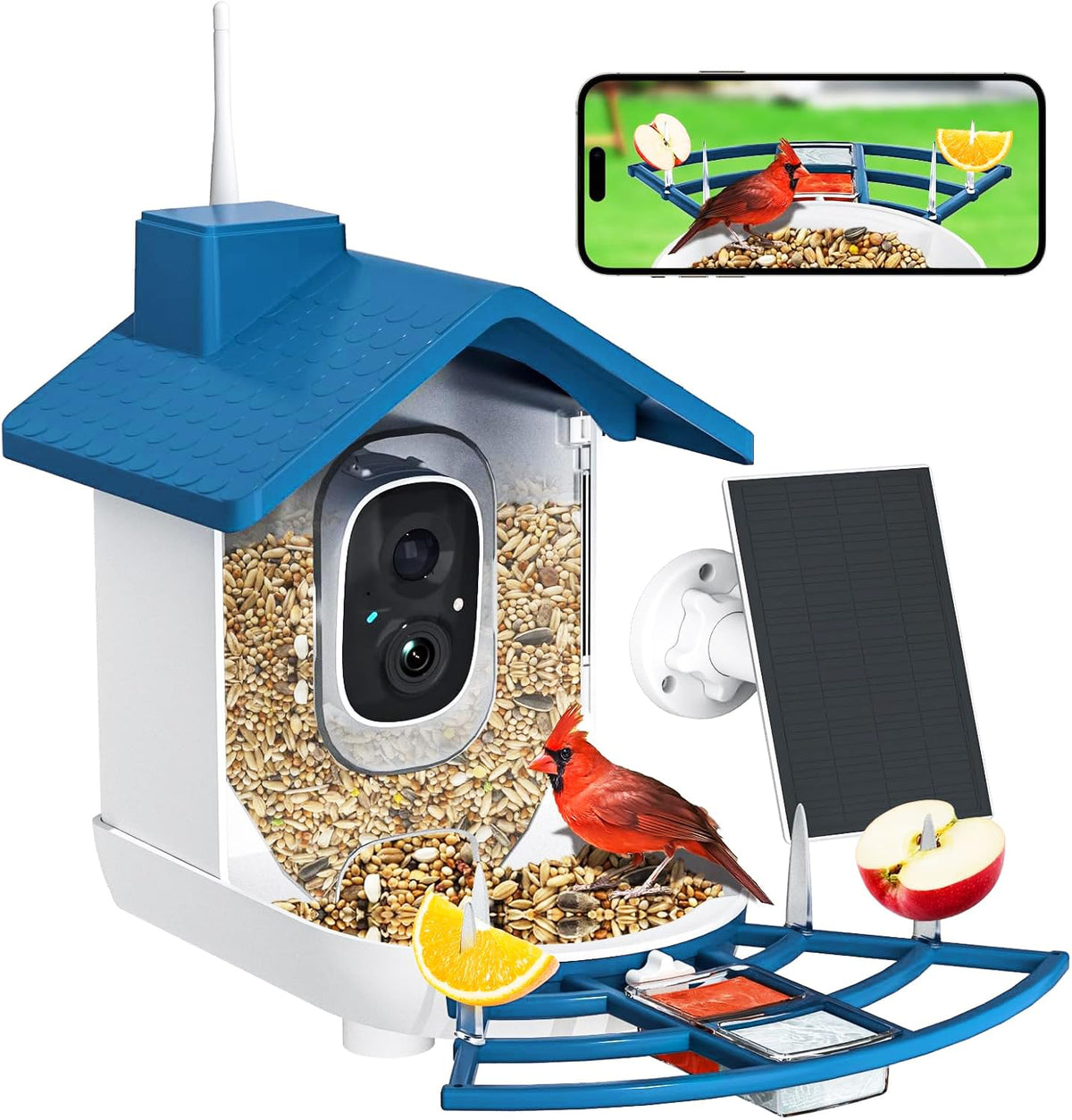 BYRANKE Smart Bird Feeder with Camera front view enhances daytime bird watching.
