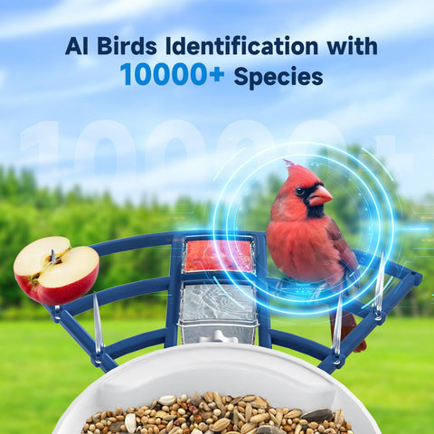 BYRANKE Smart Bird Feeder with Camera night vision captures birds at dusk.