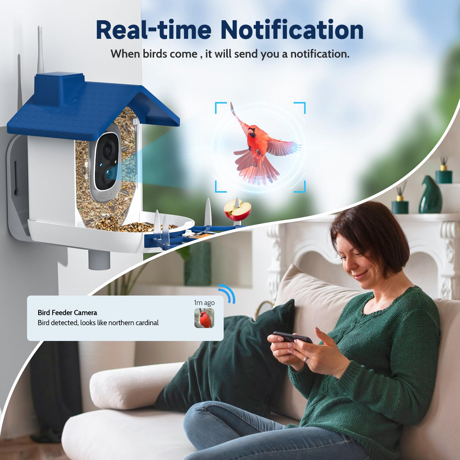 BYRANKE Smart Bird Feeder with Camera solar panel powers outdoor feeding.