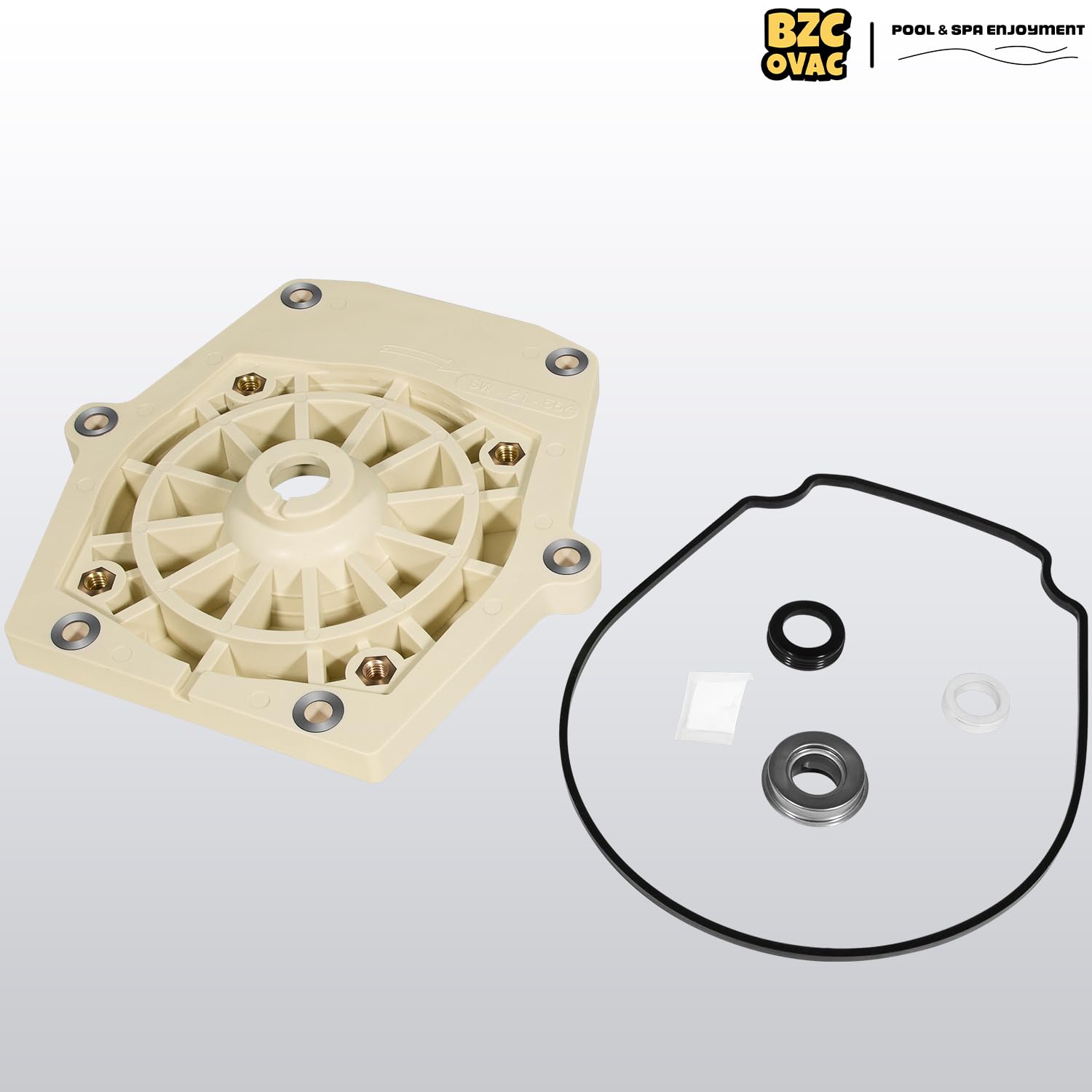 Mounting illustration from Bzcovac kit showing proper integration with pump internals.