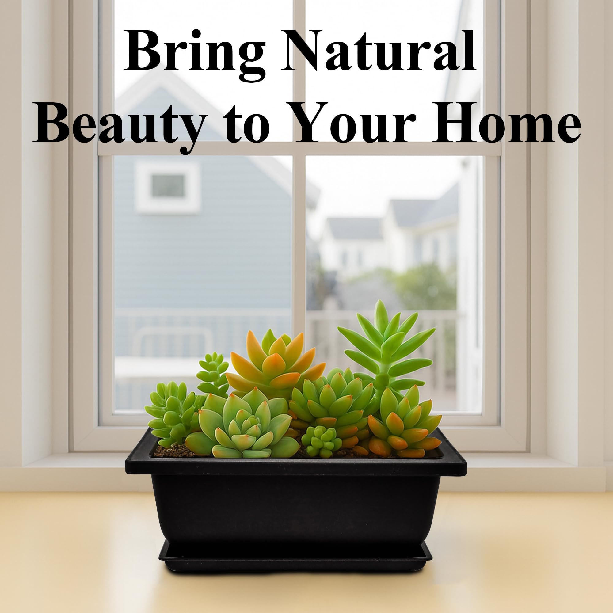 C Crystal Lemon bonsai pot with built-in mesh for healthy drainage.