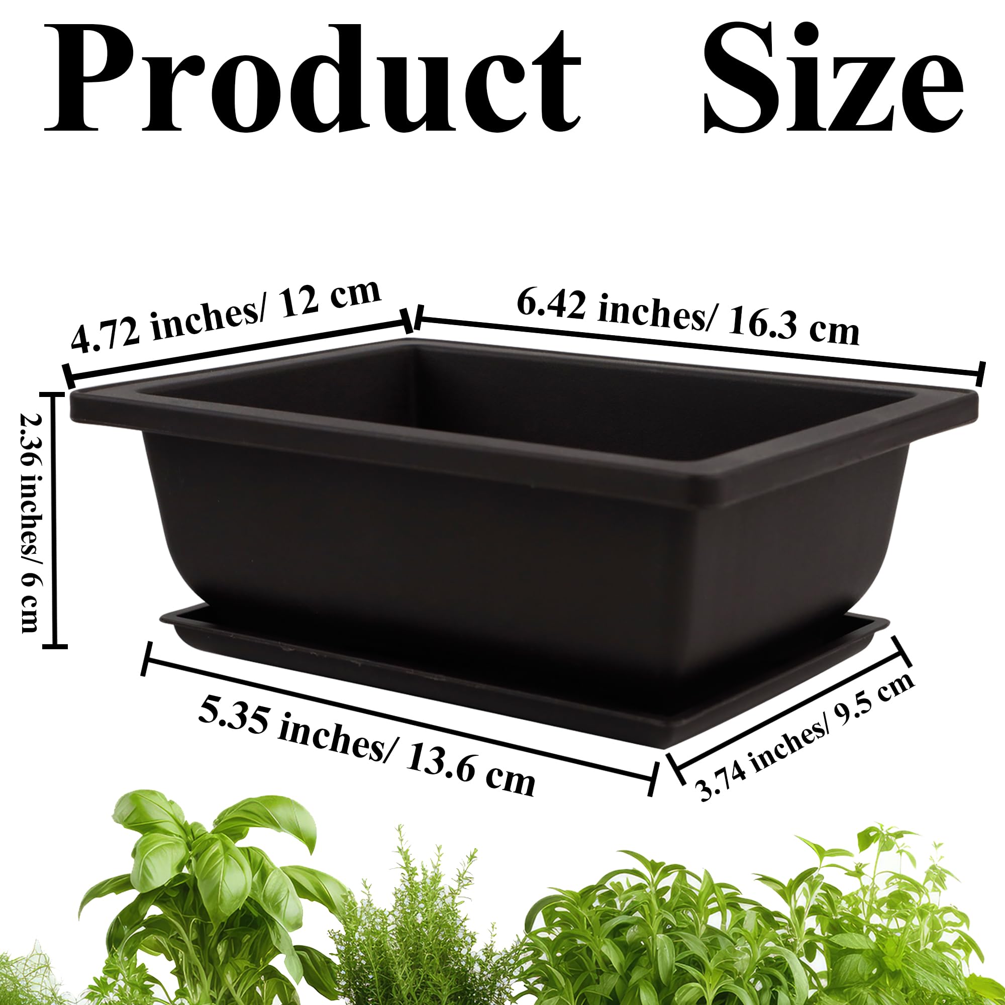 C Crystal Lemon bonsai pot suitable for indoor and outdoor placement.